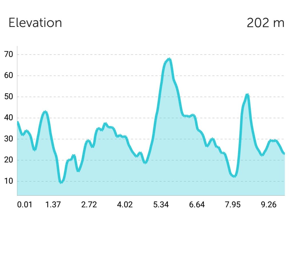Runners found the route very hilly. [Image by Yi Heng]