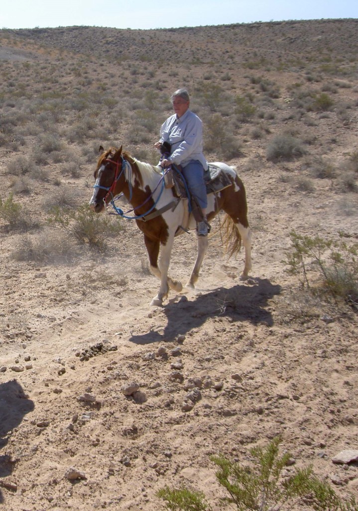 A 2006 photo of Stewart riding a horse in the Arizona desert.