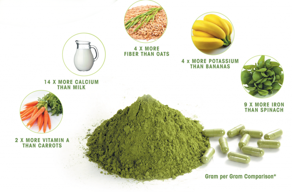 The health benefits of Moringa are underestimated. [Photo source www.freecancerfightinginfo.com]