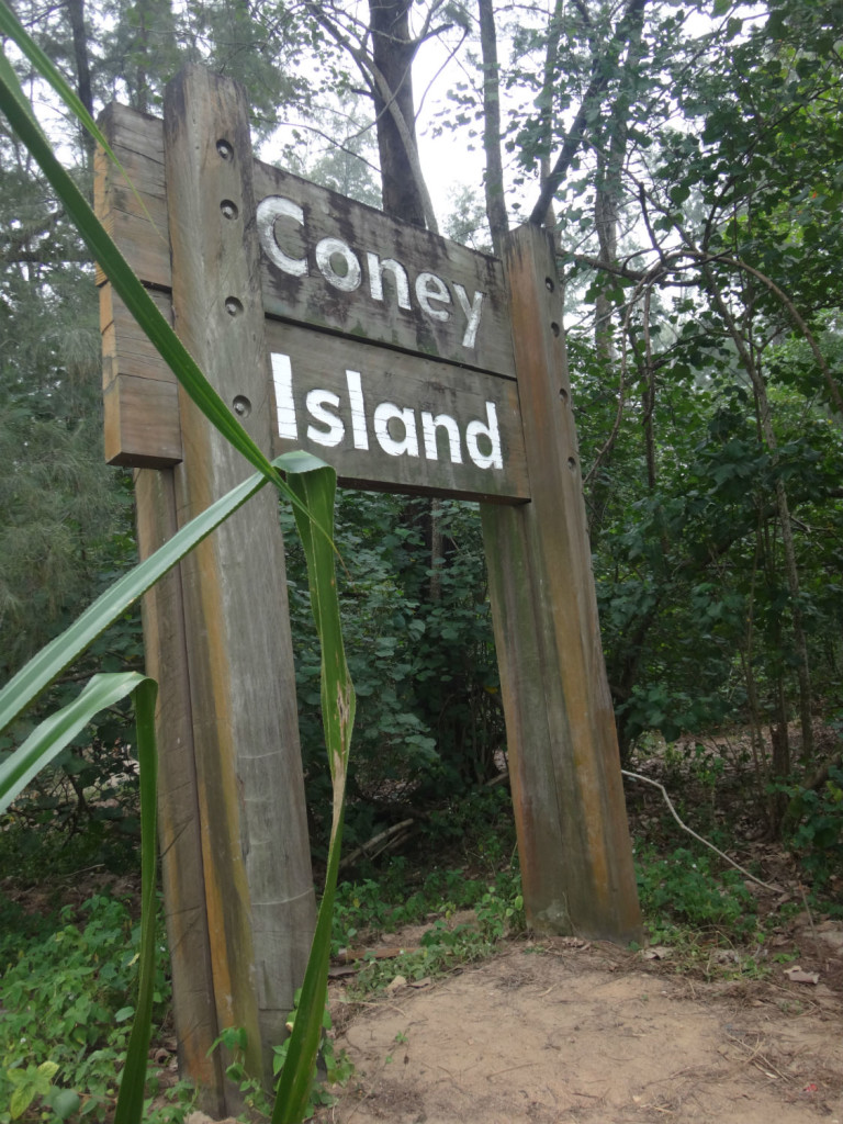 Coney Island Park is a great place for nature lovers to visit.