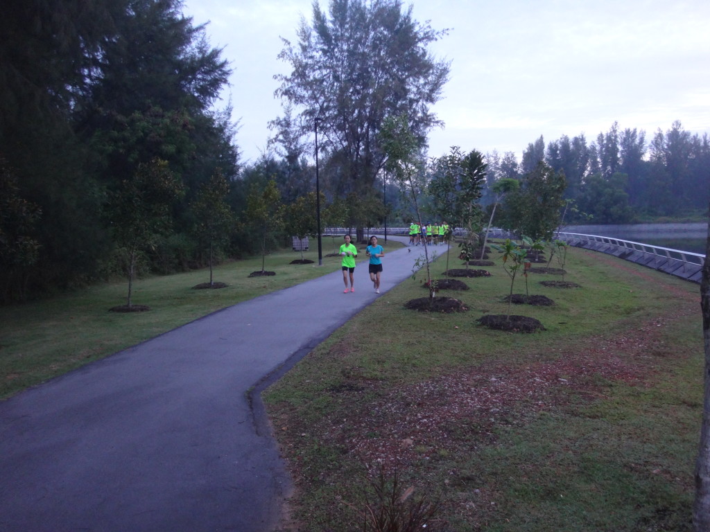 It was supposed to be a relaxing, scenic fun run.