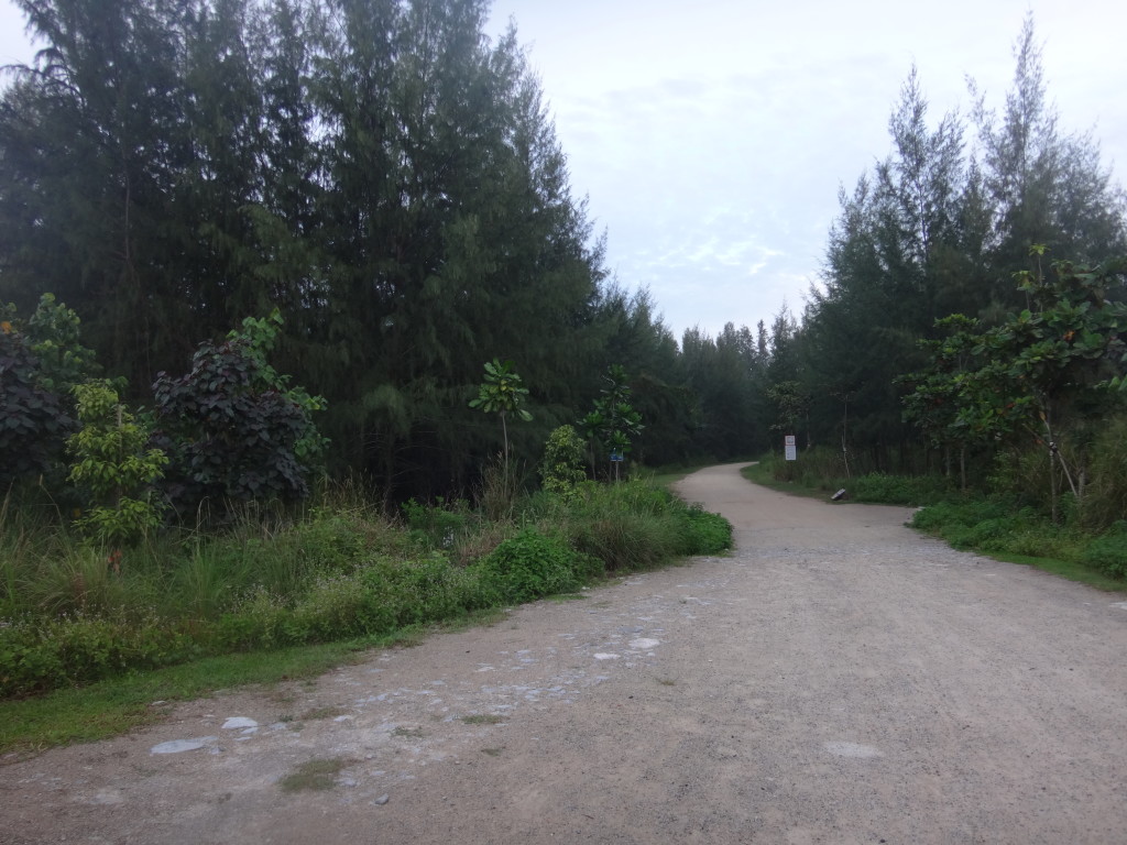 The run through Coney Island was great.