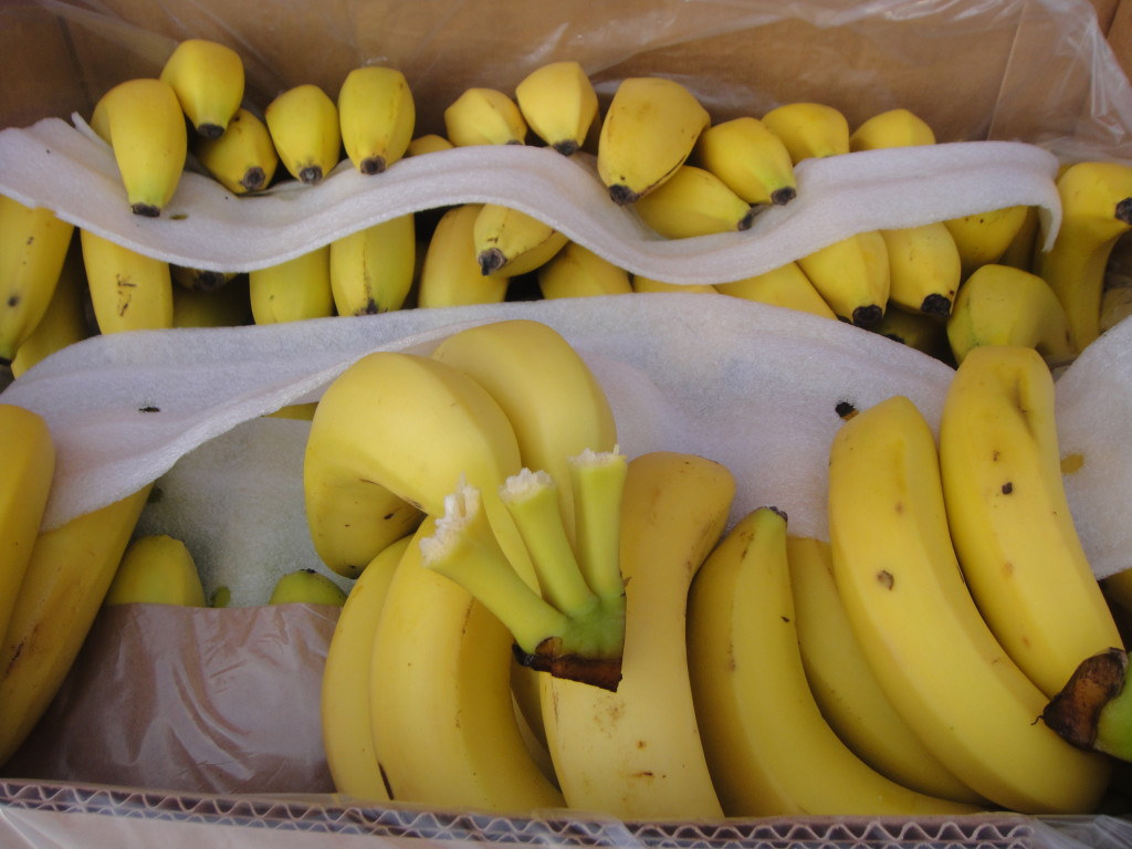 Lots of ripe bananas for hungry runners.