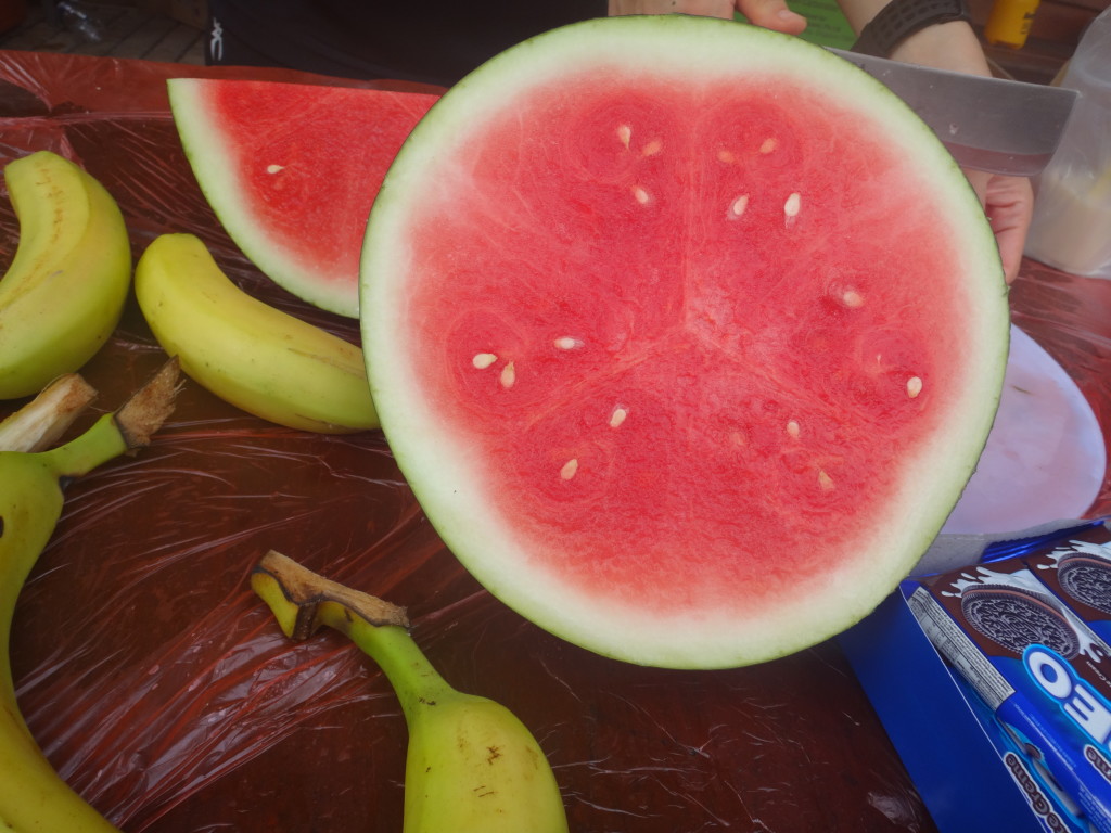 Who wants this huge slice of watermelon?