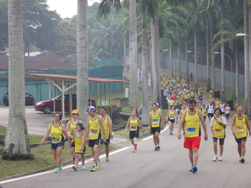 Runners make their way down a challenging slope.