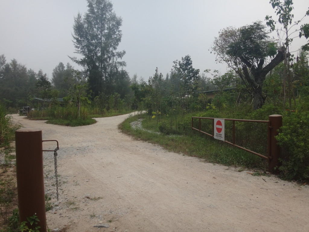 I always love running through Coney Island.