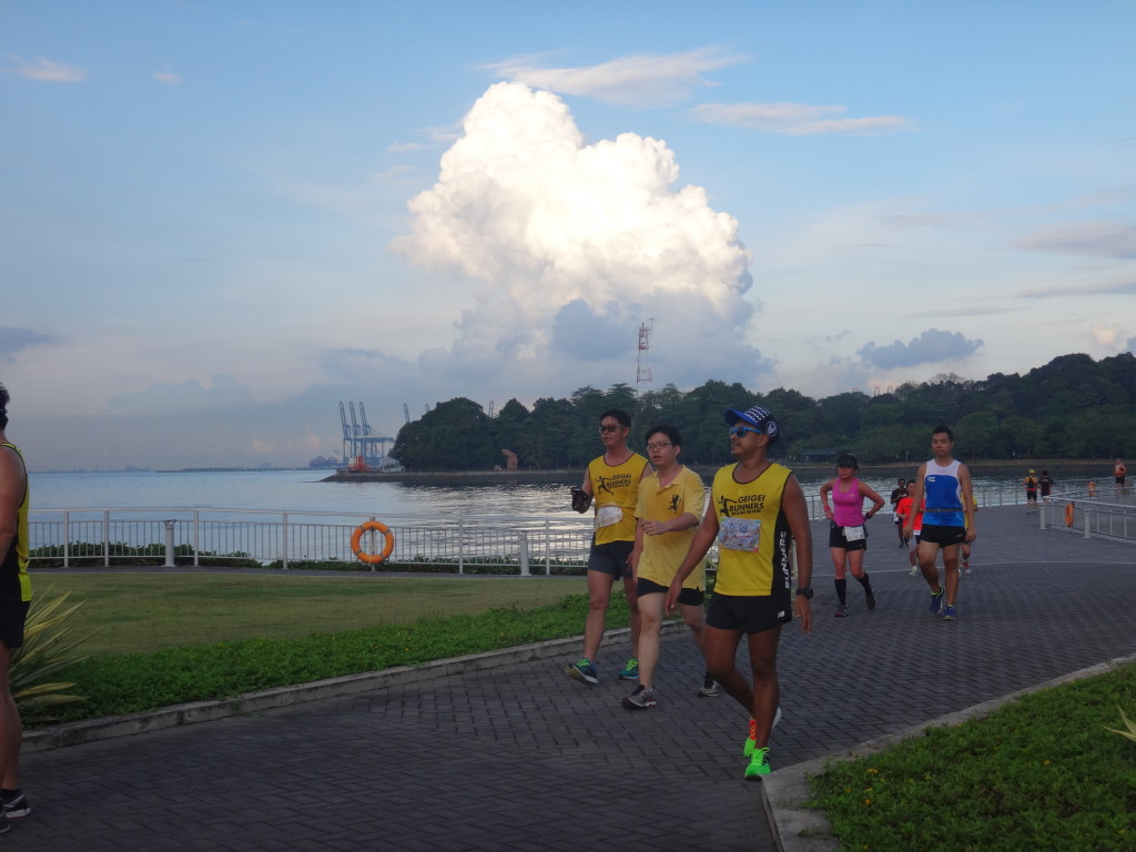 Runners soak up the beautiful scenery.