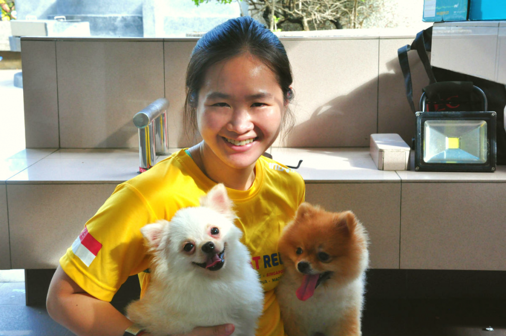 It was love at first sight - for me and these dogs!