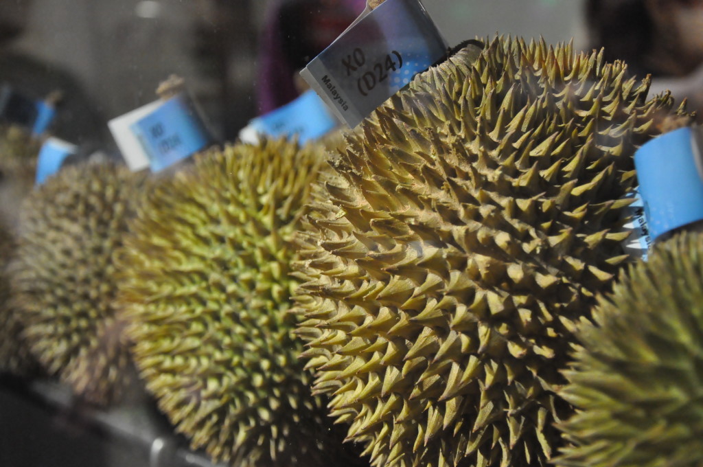 Tantalising D24 durians - which we never got a chance to try!