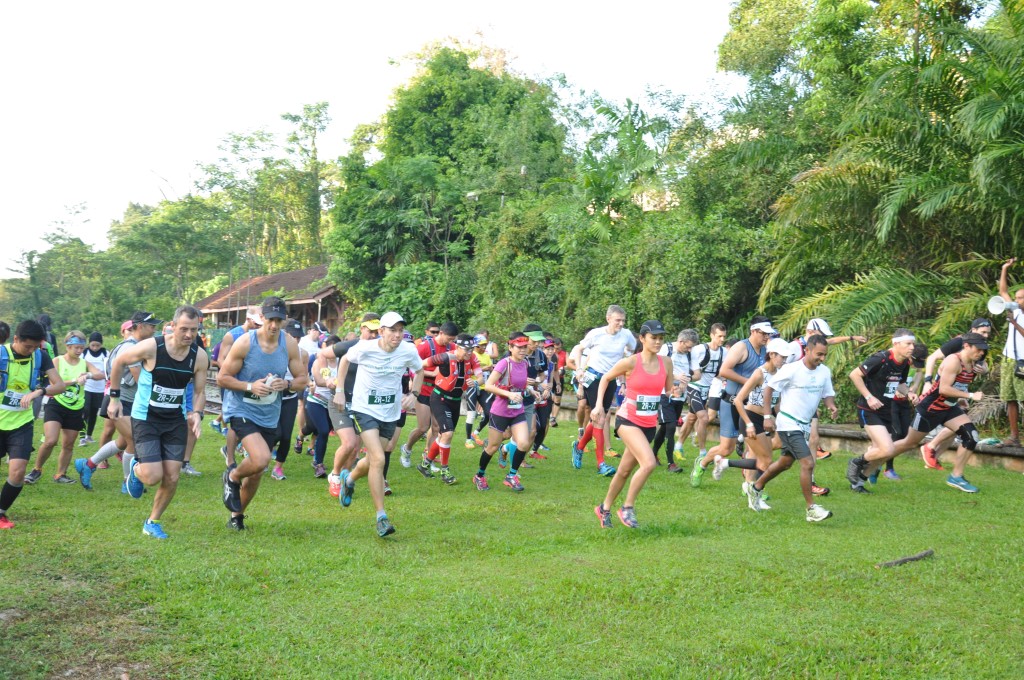 Ready... Steady... Go!