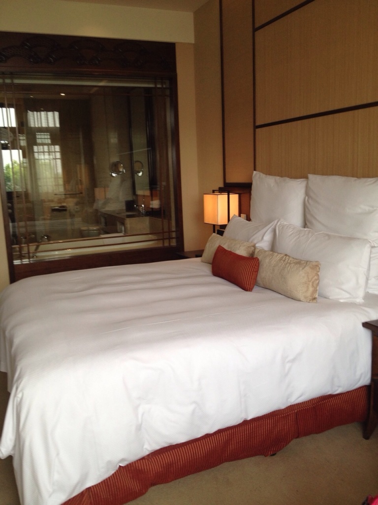 Club Carlson (Radisson) hotels.