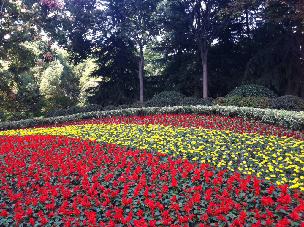 The lovely scenery at People's Park.