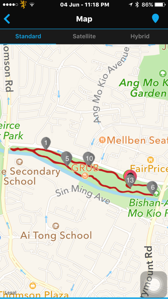 The 3.3km loop for The Great Relay Singapore 2016.