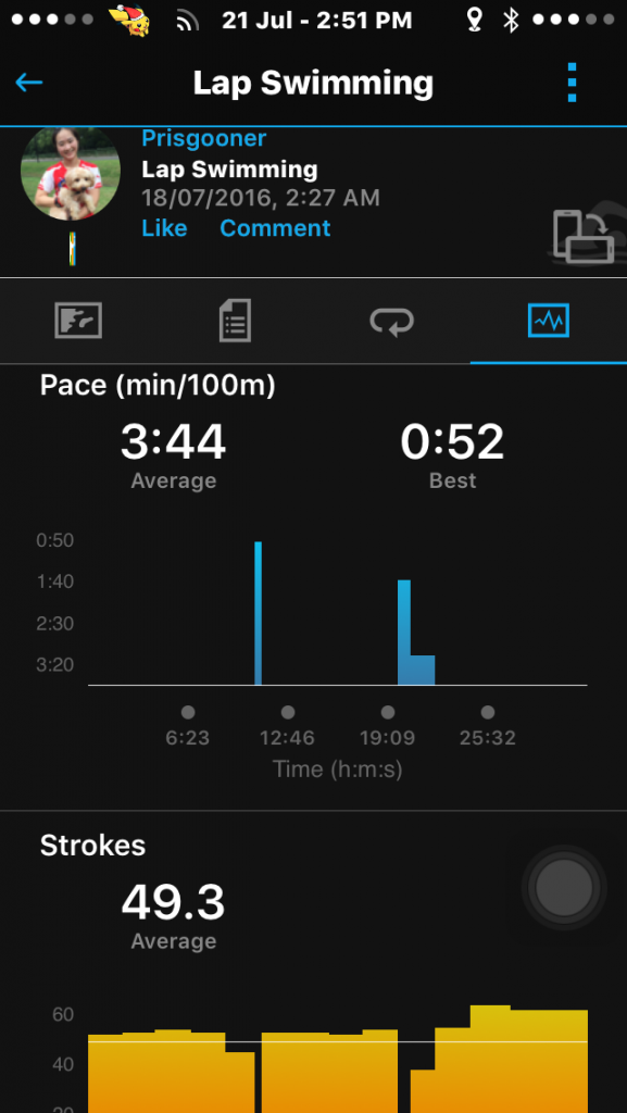 Measurements of swims are quite comprehensive on Garmin Connect.