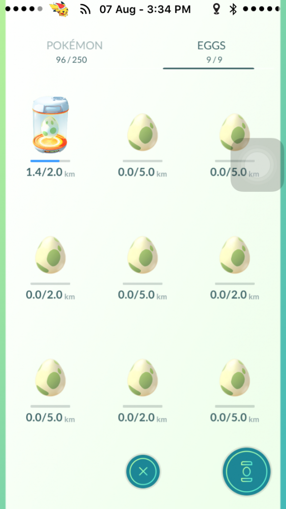Hatch your Pokemon eggs.