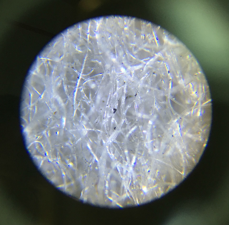 The particles as seen through the microscope.