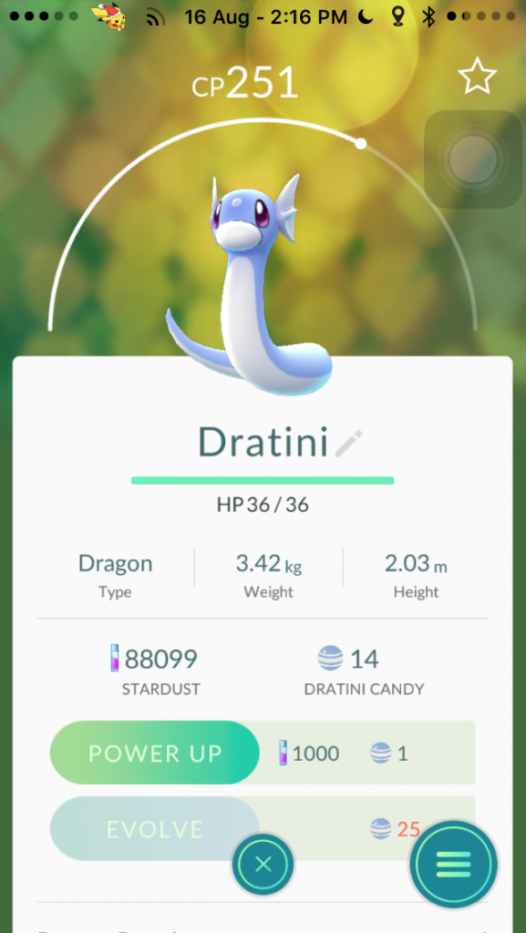Dratini
