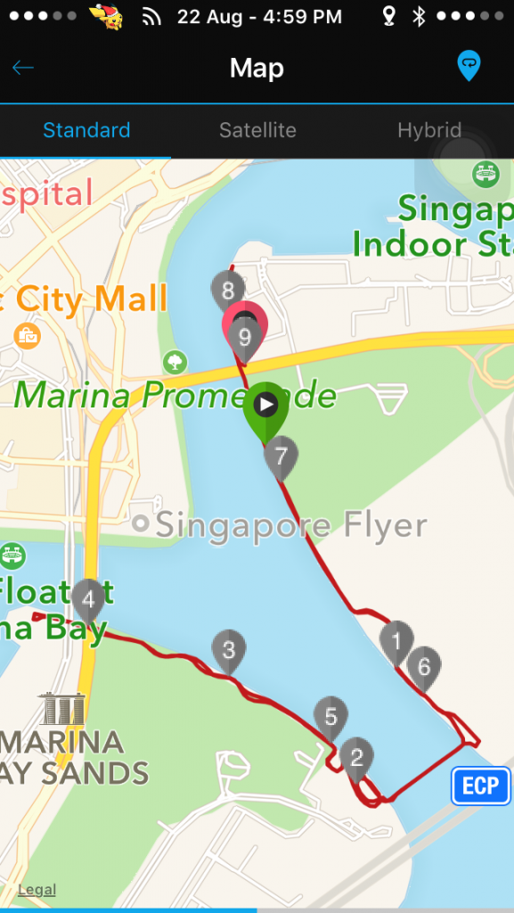 It was a simple out-and-back running route.