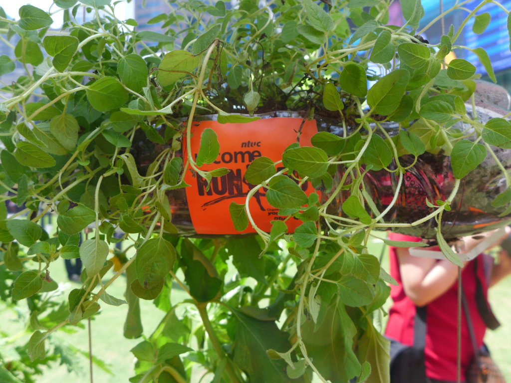 Do your part for a greener tomorrow. Sign up for RUN350.