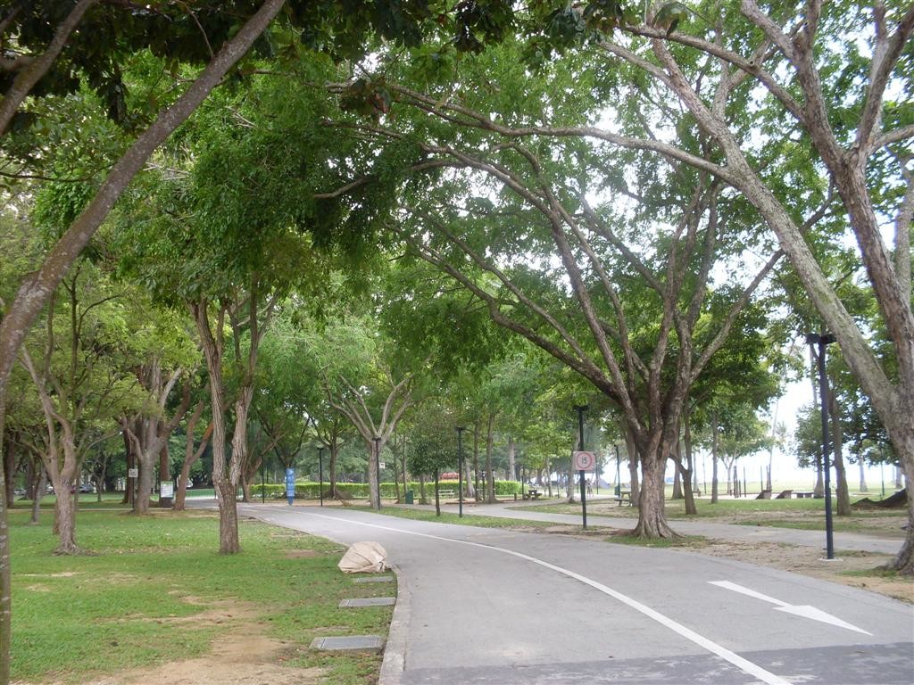 East Coast Park offers a good, fast running track for beginners. [Photo taken from www.jfkoen.com]