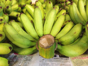 Bananas are a good form of recovery.