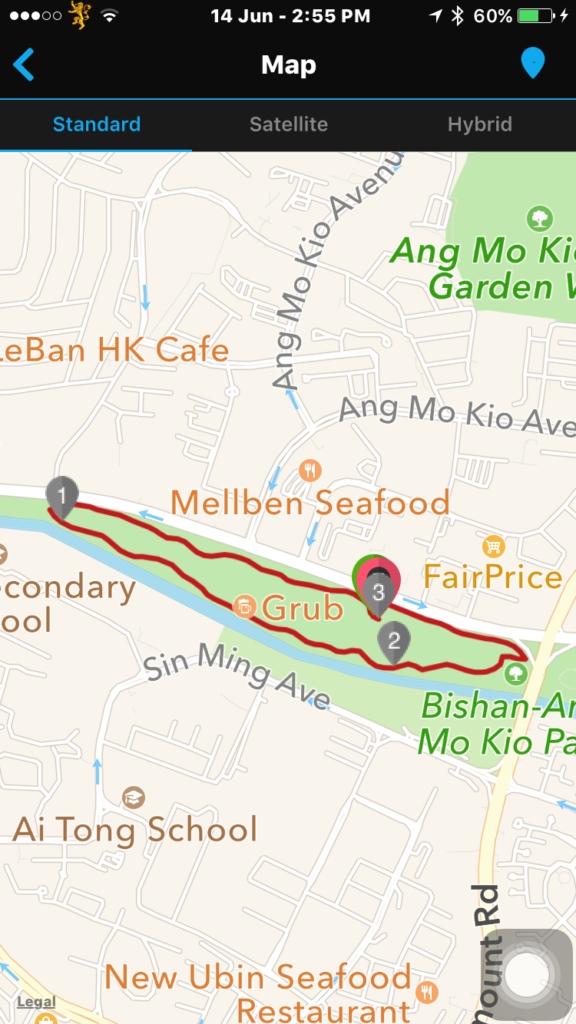 It was a fun run despite the weather.