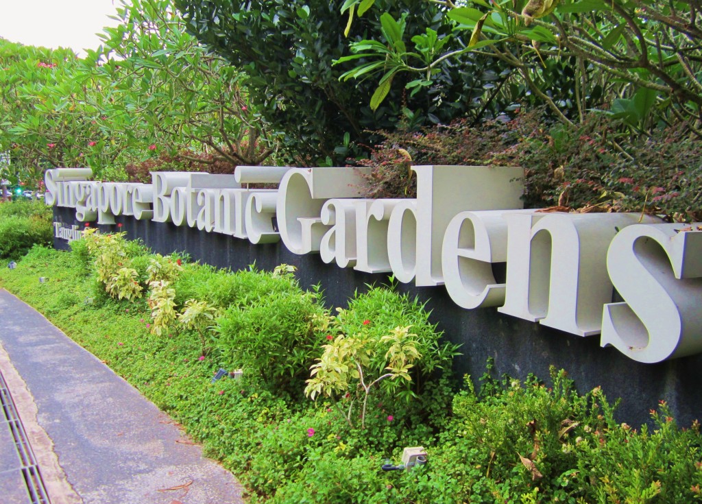 The Botanic Gardens, Singapore. [Photo taken from amylamsg.wordpress.com]