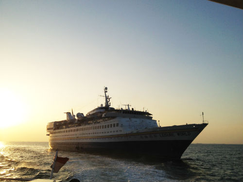 Picture courtesy of Justin Lee