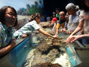 Touch Pool, where you can play with the fishes.