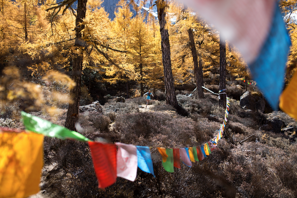 The organisers will take extreme measures to prevent runners from getting lost. [Photo from China Mountain Trails] 