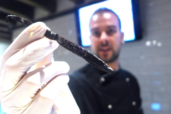 Cadorin & Quaglia use only the freshest ingredients in their gelato - such as these vanilla beans, which was used to make their vanilla flavoured gelato.
